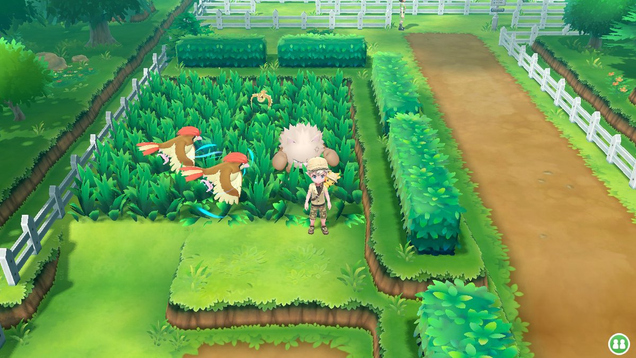 Pidgey are still everywhere... but it shall no longer surprise you.